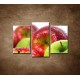 Obrazy na stenu - Červené a zelené jablká - 3dielny 75x50cm