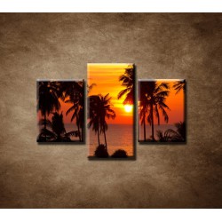 Obrazy na stenu - Západ slnka s palmami - 3dielny 75x50cm