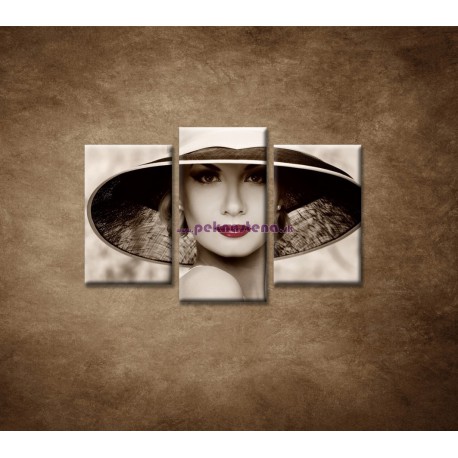 Obrazy na stenu - Žena v klobúku - 3dielny 75x50cm