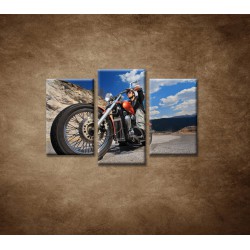 Obrazy na stenu - Motorkár - 3dielny 75x50cm