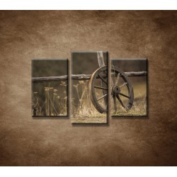 Obrazy na stenu - Staré koleso - 3dielny 75x50cm