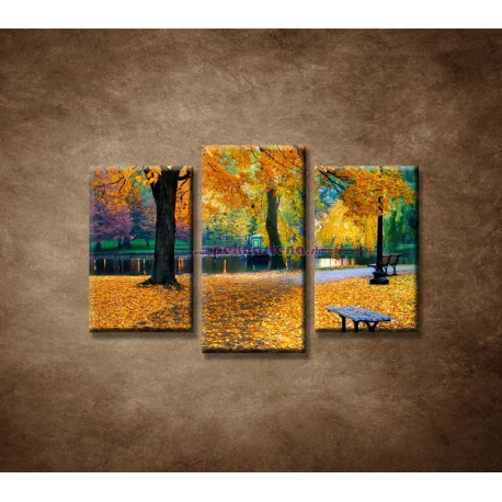Obrazy na stenu - Bostonský park - 3dielny 75x50cm