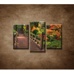 Obrazy na stenu - Jesenný park - 3dielny 75x50cm