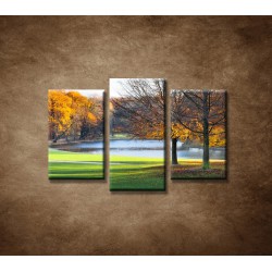 Obrazy na stenu - Park na jeseň - 3dielny 75x50cm