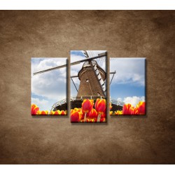 Obrazy na stenu - Mlyn s tulipánmi - 3dielny 75x50cm