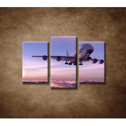 Obrazy na stenu - Lietadlo v oblakoch - 3dielny 75x50cm