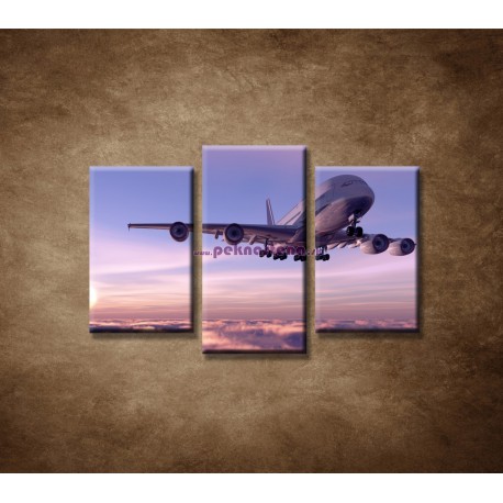 Obrazy na stenu - Lietadlo v oblakoch - 3dielny 75x50cm