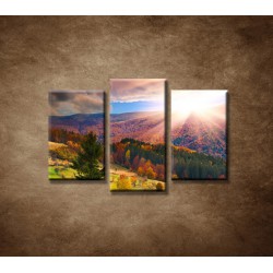 Obrazy na stenu - Farebná jeseň - 3dielny 75x50cm