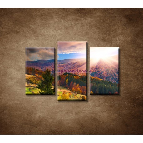 Obrazy na stenu - Farebná jeseň - 3dielny 75x50cm