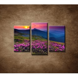 Obrazy na stenu - Západ slnka 2 - 3dielny 75x50cm