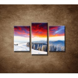 Obrazy na stenu - Zimná príroda - 3dielny 75x50cm