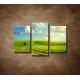 Obrazy na stenu - Letná krajina - 3dielny 75x50cm