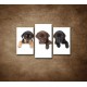 Obrazy na stenu - Tri šteniatka - 3dielny 75x50cm