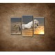 Obrazy na stenu - Kôň pri západe slnka - 3dielny 75x50cm