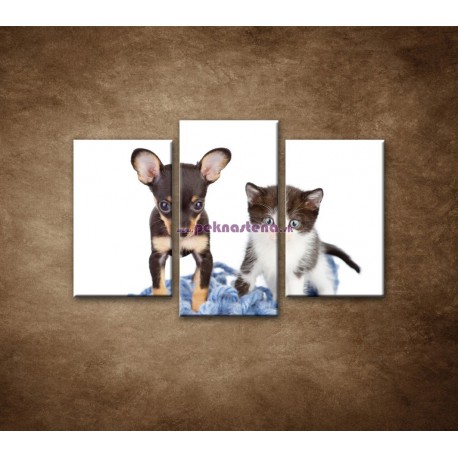 Obrazy na stenu - Nezbedníci - 3dielny 75x50cm