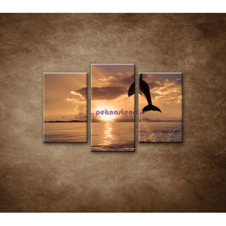 Obrazy na stenu - Skákajúci delfín - 3dielny 75x50cm
