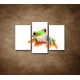 Obrazy na stenu - Žabka - 3dielny 75x50cm