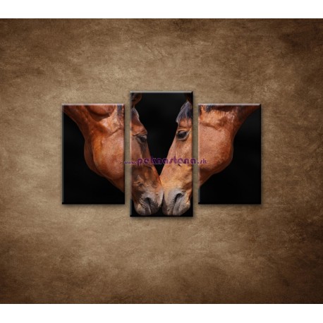Obrazy na stenu - Kone - 3dielny 75x50cm