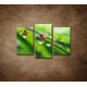 Obrazy na stenu - Lienky - 3dielny 75x50cm