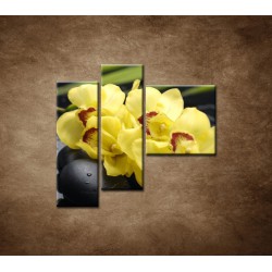 Obrazy na stenu - Žltá orchidea s kameňmi -  3dielny 110x90cm
