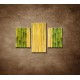 Obrazy na stenu - Bambusové stonky  - 3dielny 90x60cm
