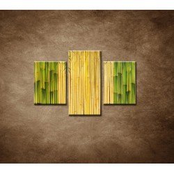 Obrazy na stenu - Bambusové stonky  - 3dielny 90x60cm