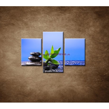 Obrazy na stenu - Bambusový výhonok na kameni - 3dielny 90x60cm