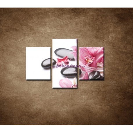 Obrazy na stenu - Kamene a kvety na bielom pozadí - 3dielny 90x60cm