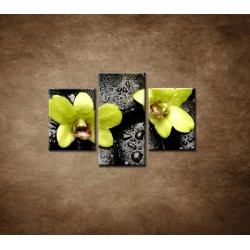Obrazy na stenu - Kamene s kvapkami a orchideou - 3dielny 90x60cm