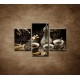 Obrazy na stenu - Kanvica kávy - 3dielny 90x60cm