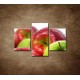 Obrazy na stenu - Červené a zelené jablká  - 3dielny 90x60cm