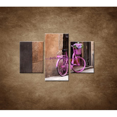 Obrazy na stenu - Ružový bicykel  - 3dielny 90x60cm