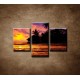 Obrazy na stenu - Farebná príroda - 3dielny 90x60cm
