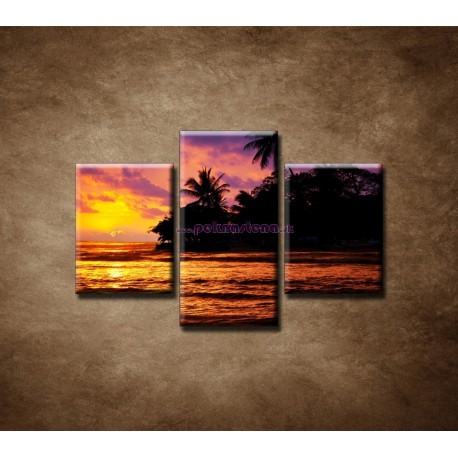 Obrazy na stenu - Farebná príroda - 3dielny 90x60cm