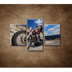 Obrazy na stenu - Motorkár - 3dielny 90x60cm