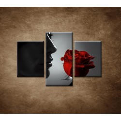 Obrazy na stenu - Žena s ružou - 3dielny 90x60cm