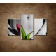 Obrazy na stenu - Dievča s tulipánom - 3dielny 90x60cm