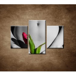 Obrazy na stenu - Dievča s tulipánom - 3dielny 90x60cm