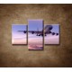 Obrazy na stenu - Lietadlo v oblakoch  - 3dielny 90x60cm