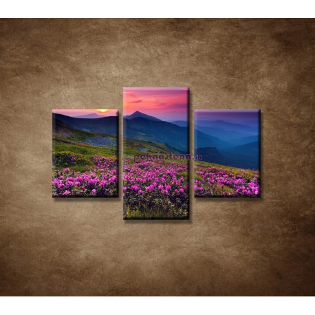 Obrazy na stenu - Západ slnka 2  - 3dielny 90x60cm