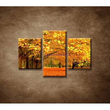 Obrazy na stenu - Park  - 3dielny 90x60cm