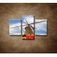 Obrazy na stenu - Mlyn s tulipánmi  - 3dielny 90x60cm
