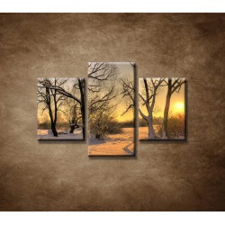 Obrazy na stenu - Krajina v zime  - 3dielny 90x60cm