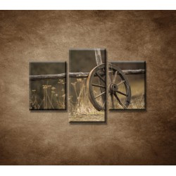 Obrazy na stenu - Staré koleso  - 3dielny 90x60cm