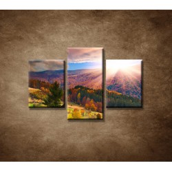 Obrazy na stenu - Farebná jeseň  - 3dielny 90x60cm