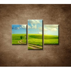 Obrazy na stenu - Letná krajina  - 3dielny 90x60cm