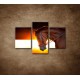 Obrazy na stenu - Kôň v stajni - 3dielny 90x60cm