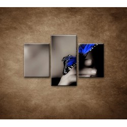Obrazy na stenu - Modrý motýľ - 3dielny 90x60cm