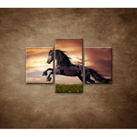 Obrazy na stenu - Čierny kôň - 3dielny 90x60cm