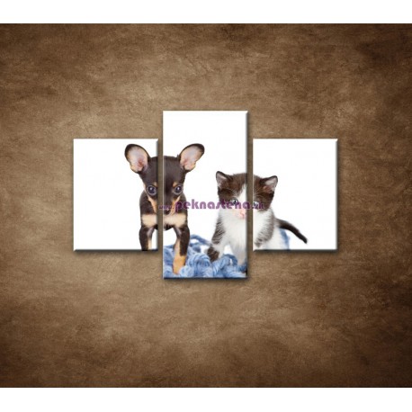 Obrazy na stenu - Nezbedníci - 3dielny 90x60cm